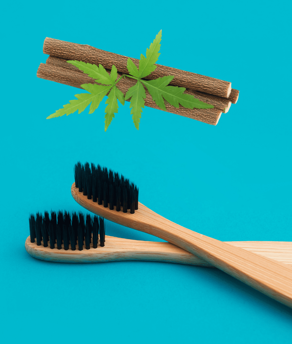 Kayapalat Neem Toothbrush