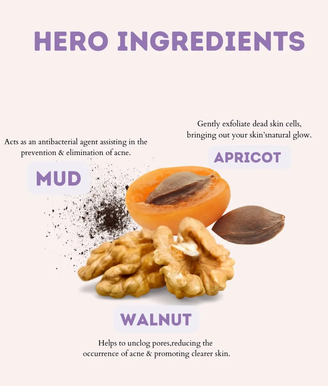 Mud Face Wash Ingredients